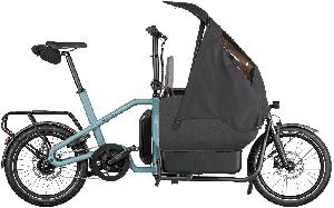 RIESE & MÜLLER Carrie EASY