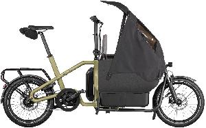 RIESE & MÜLLER Carrie EASY