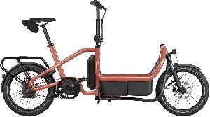 RIESE & MÜLLER Carrie2 automatic