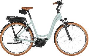 RIESE & MÜLLER Swing5 rücktritt