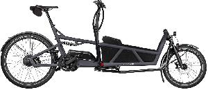 RIESE & MÜLLER Load5 60 vario