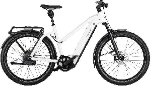 RIESE & MÜLLER Charger4 Mixte GT automatic
