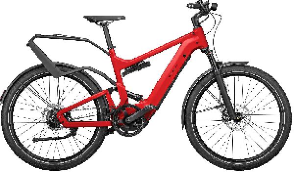 Riese & Müller Delite GT rohloff