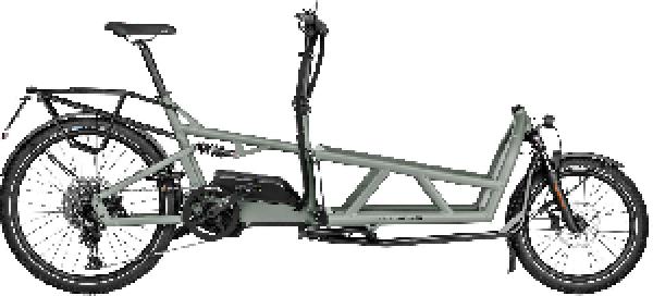 Riese & Müller Load4 60 touring HS