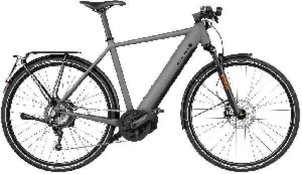 Riese & Müller Roadster