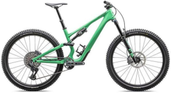 Specialized Stumpjumper 15 Expert
