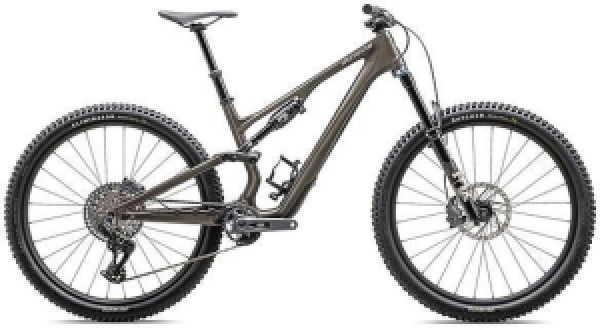 Specialized Stumpjumper 15 Expert