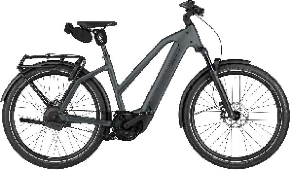 RIESE & MÜLLER Charger5 Mixte automatic