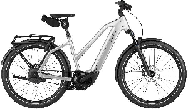 RIESE & MÜLLER Charger5 Mixte automatic
