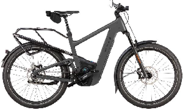 RIESE & MÜLLER Delite5 pinion HS