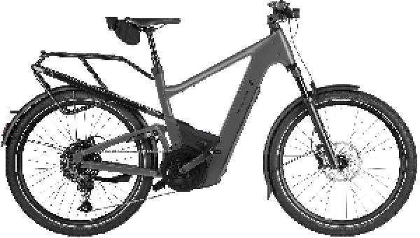 RIESE & MÜLLER Delite5 touring