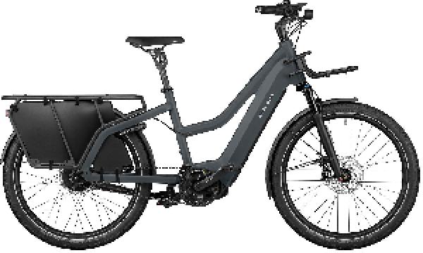 RIESE & MÜLLER Multicharger3 Mixte touring