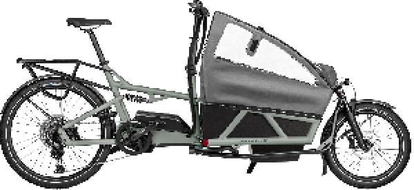 Riese & Müller Load4 60 EASY