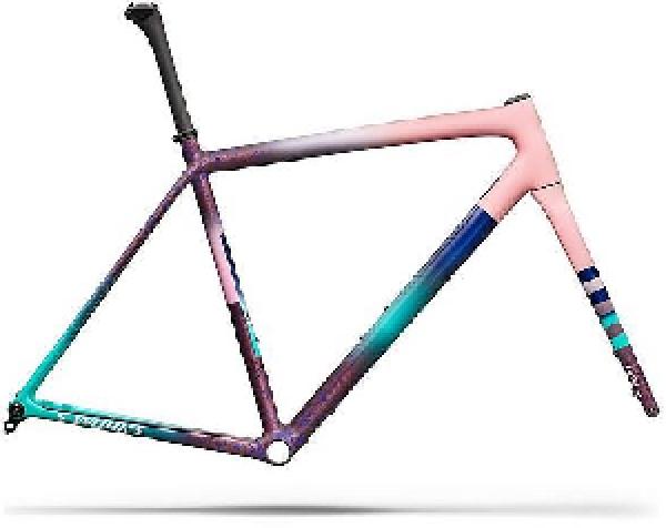 Specialized CRUX SW FRMSET