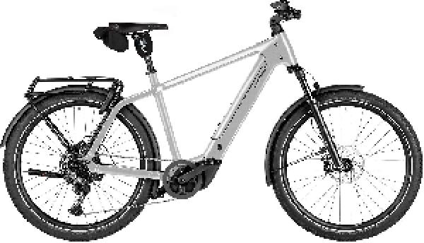 Riese & Müller Charger5 touring pro