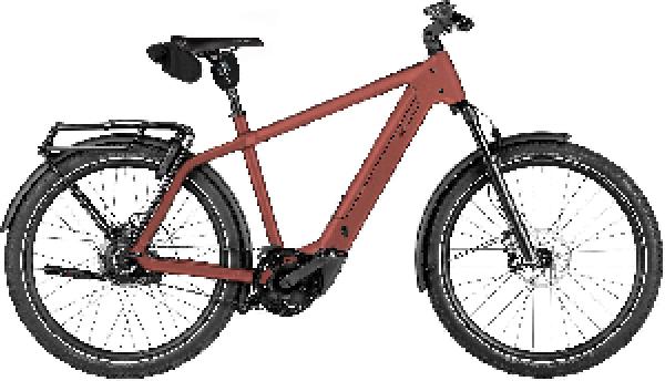 Riese & Müller Charger5 vario