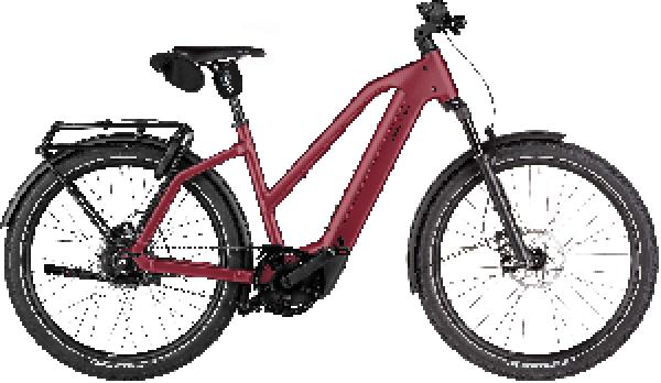 Riese & Müller Charger5 Mixte vario