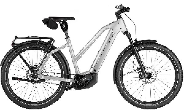 Riese & Müller Charger5 Mixte pinion