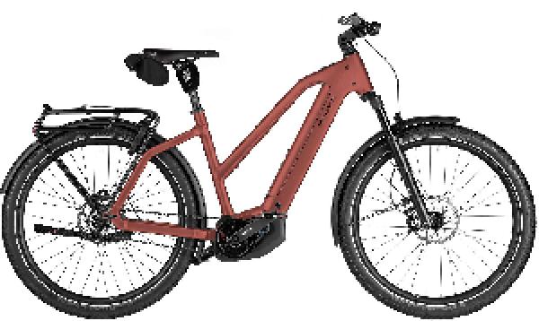Riese & Müller Charger5 Mixte pinion