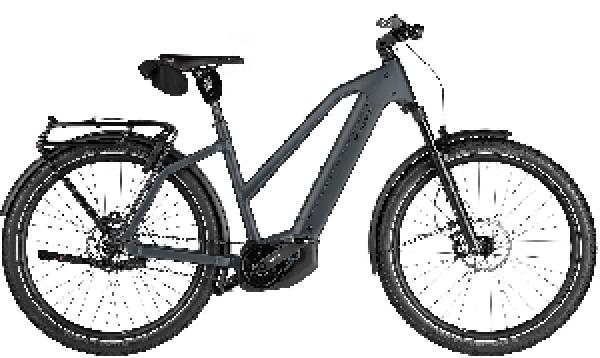 Riese & Müller Charger5 Mixte pinion