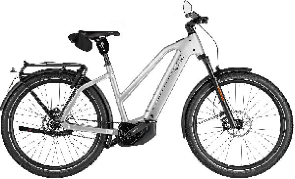 Riese & Müller Charger5 Mixte pinion HS
