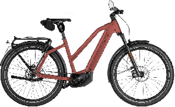 Riese & Müller Charger5 Mixte pinion HS