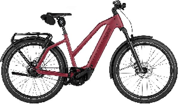 Riese & Müller Charger5 Mixte rohloff