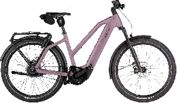 Riese & Müller Charger5 Mixte vario