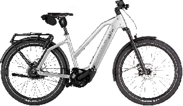 Riese & Müller Charger5 Mixte vario