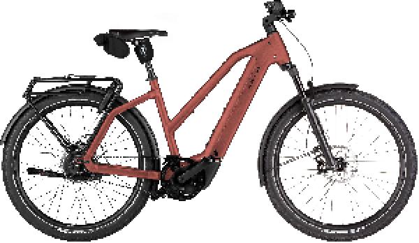 Riese & Müller Charger5 Mixte vario