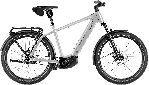 Riese & Müller Charger5 pinion