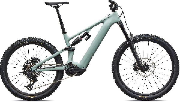 Specialized Turbo Levo 4 EVO Comp