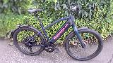 Testbike Stromer 